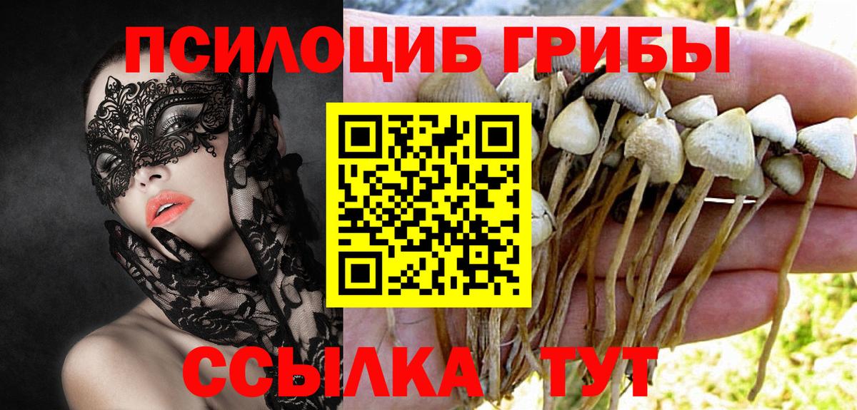 Галлюциногенные грибы MAGIC MUSHROOMS  Вход с VPN  Галлюциногенные грибы Magic Shrooms  Озёры 